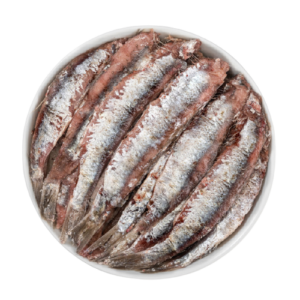 Latta di acciughe salate