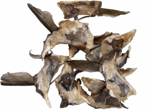 Collari di stoccafisso secco