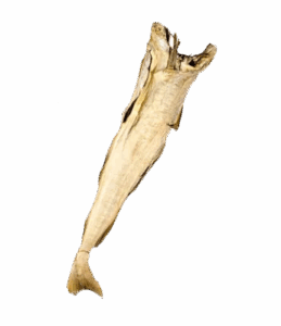 Stoccafisso secco