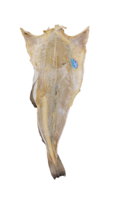 Gaspè