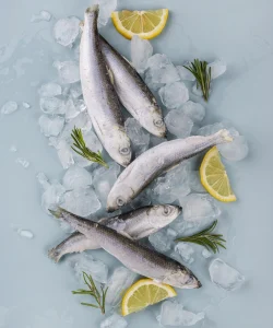 composition-frozen-sea-food-table